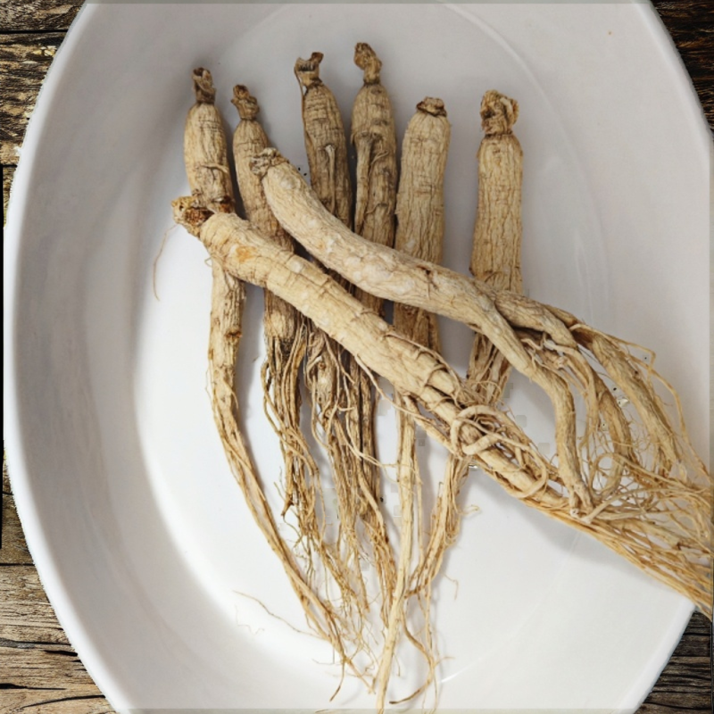 Whole Cranberries Supplier - Bulk Natural Preservation