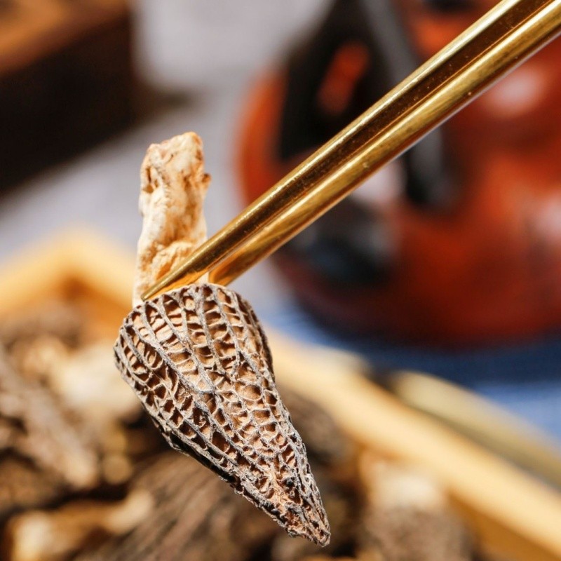 Dried Morel Mushrooms Supplier - Wild Natural Single