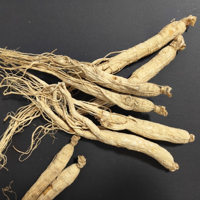 Processed Ginseng Supplier - Changbaishan Hot