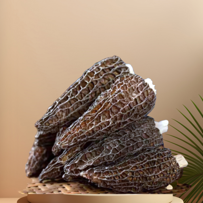 Dried Morel Mushrooms Factory - Wild Cultivated Hot