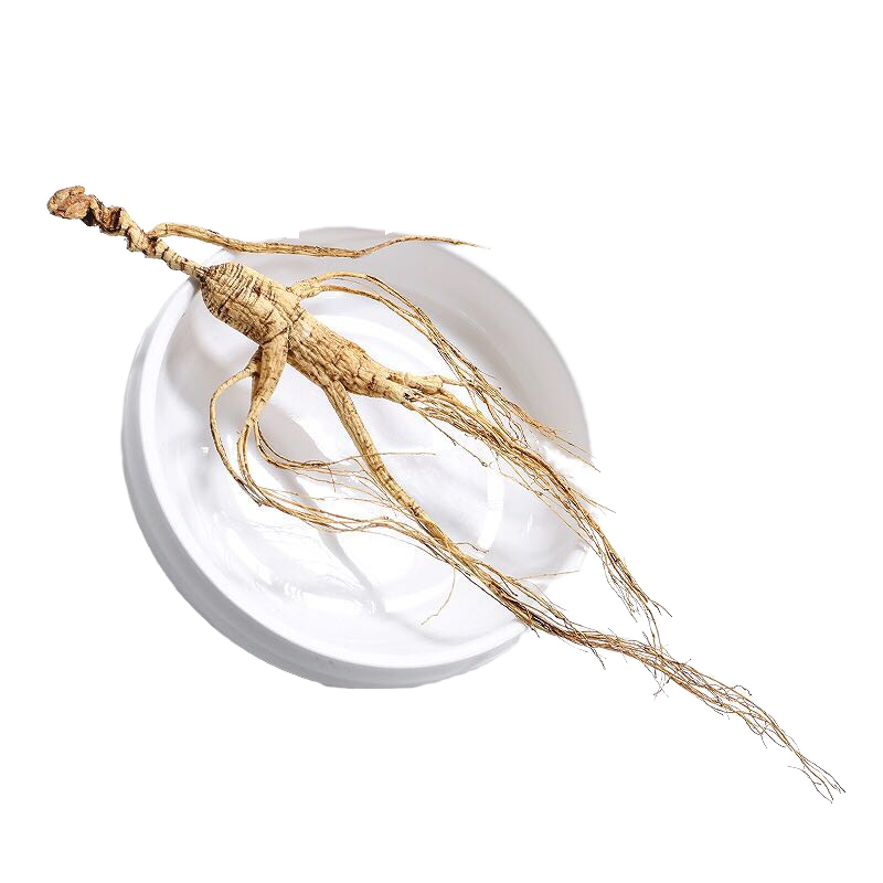 White Ginseng Roots Supplier - High Quality Customizable