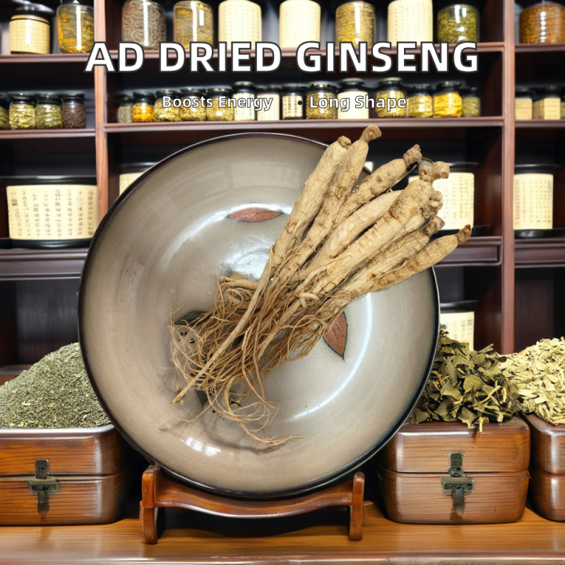 Dried Mango Exporter - Sweet Bagged Packaging