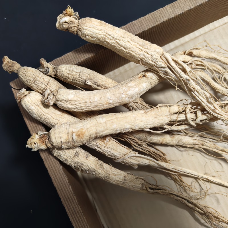 Processed Ginseng Supplier - Changbaishan Hot