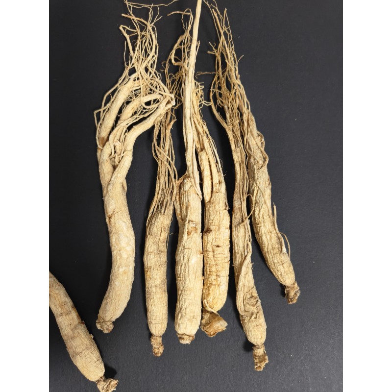 Raw Ginseng Supplier - Hot Selling Herbal
