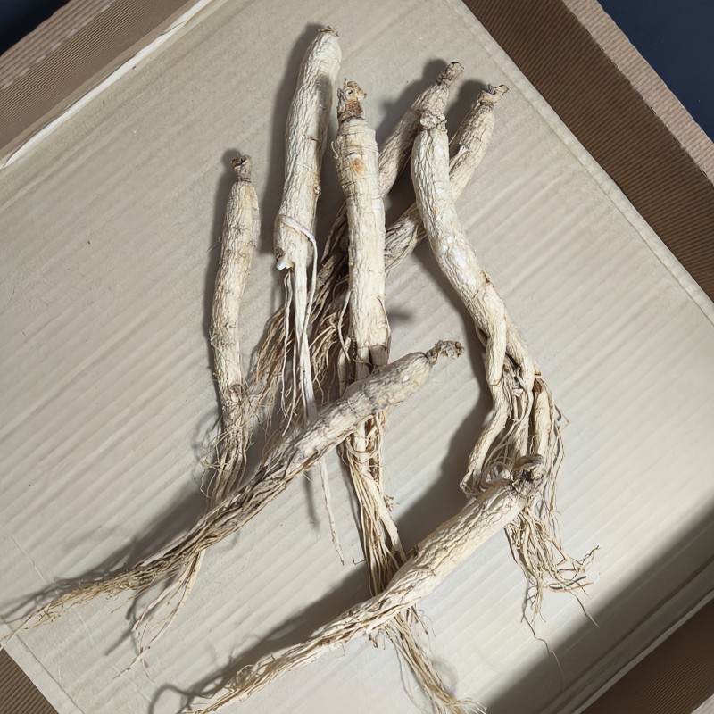 Changbai Mountain Ginseng Supplier - Natural Power