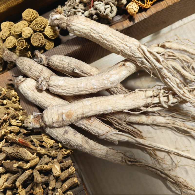 Whole Cranberries Supplier - Bulk Natural Preservation