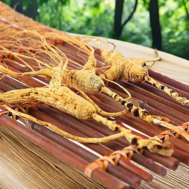 White Ginseng Factory - Wholesale Food Grade