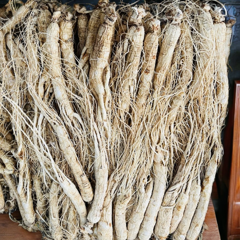 Organic Pine Nuts Manufacturer - Healthy Economical