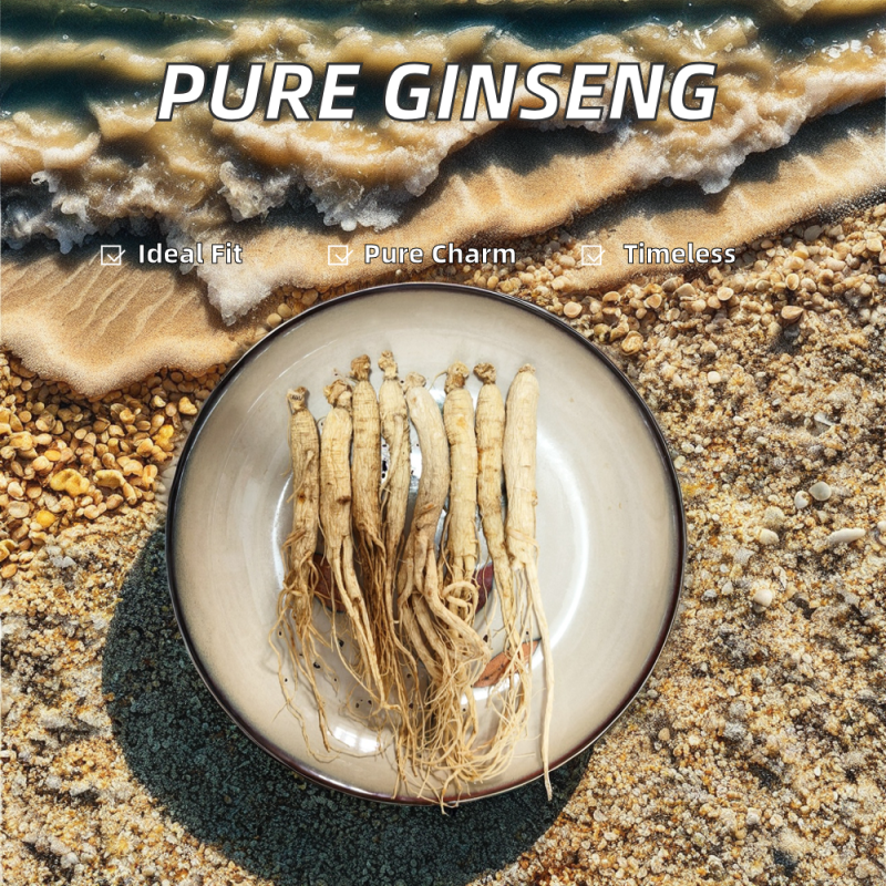 Panax Ginseng Supplier - Hot Selling Herbal