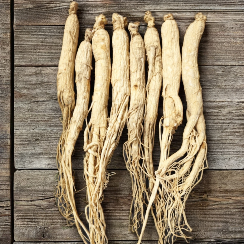 Ginseng Health Tea Manufacturer - Loose Leaf