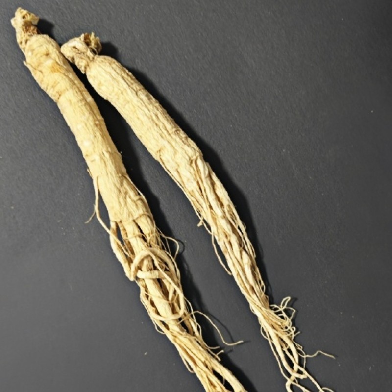 Panax Ginseng Root Supplier - Agriculture Product