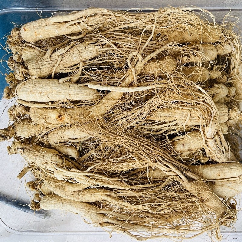 Dried Ginseng Manufacturer - Northeast Origin