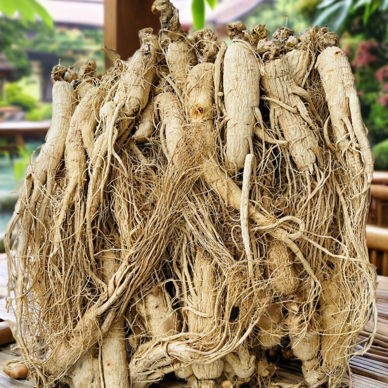 Organic Pine Nuts Manufacturer - Healthy Economical