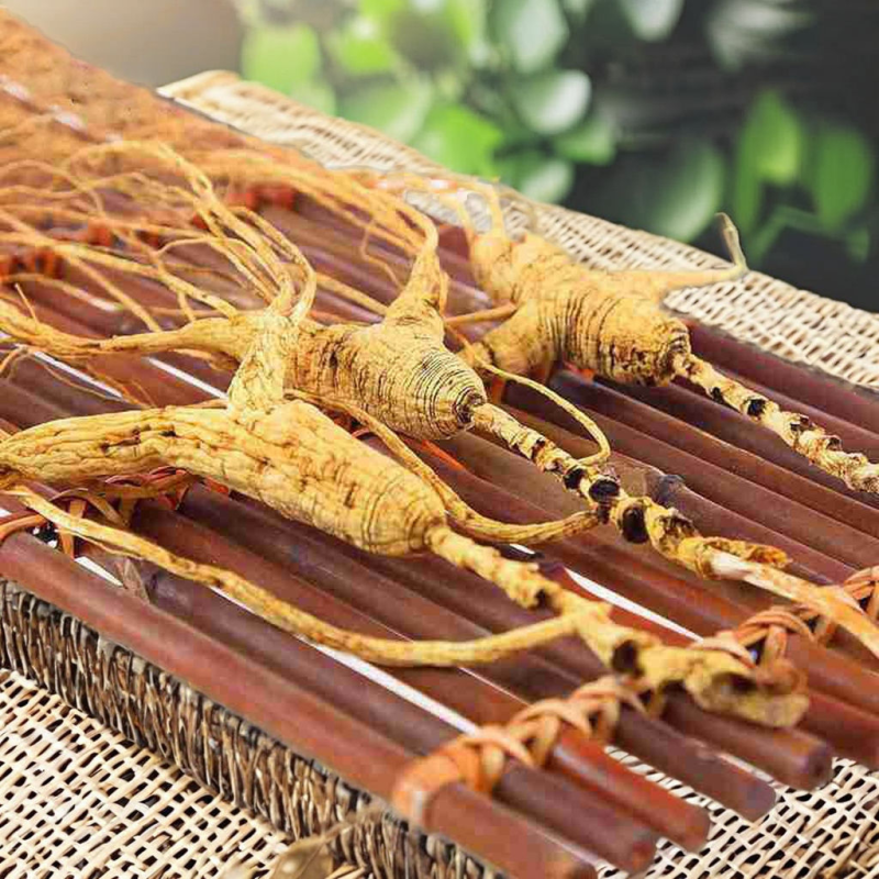 White Ginseng Roots Supplier - High Quality Customizable