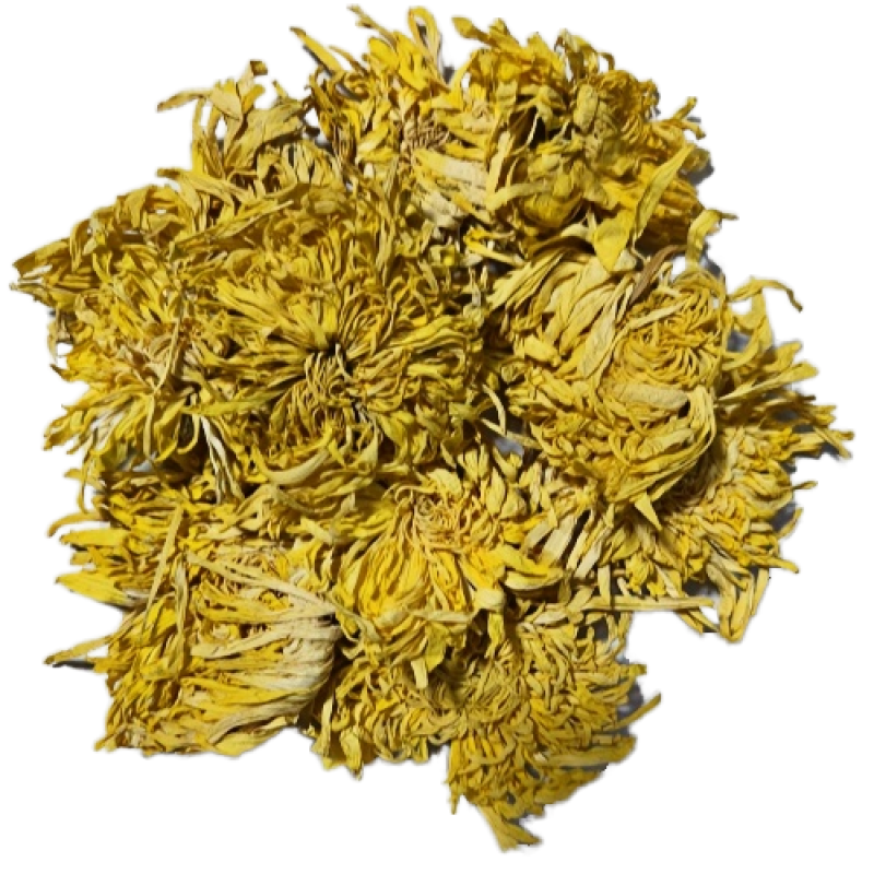 Golden Chrysanthemum Tea Factory - Herbal Agriculture