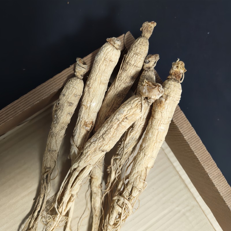 Processed Ginseng Supplier - Changbaishan Hot