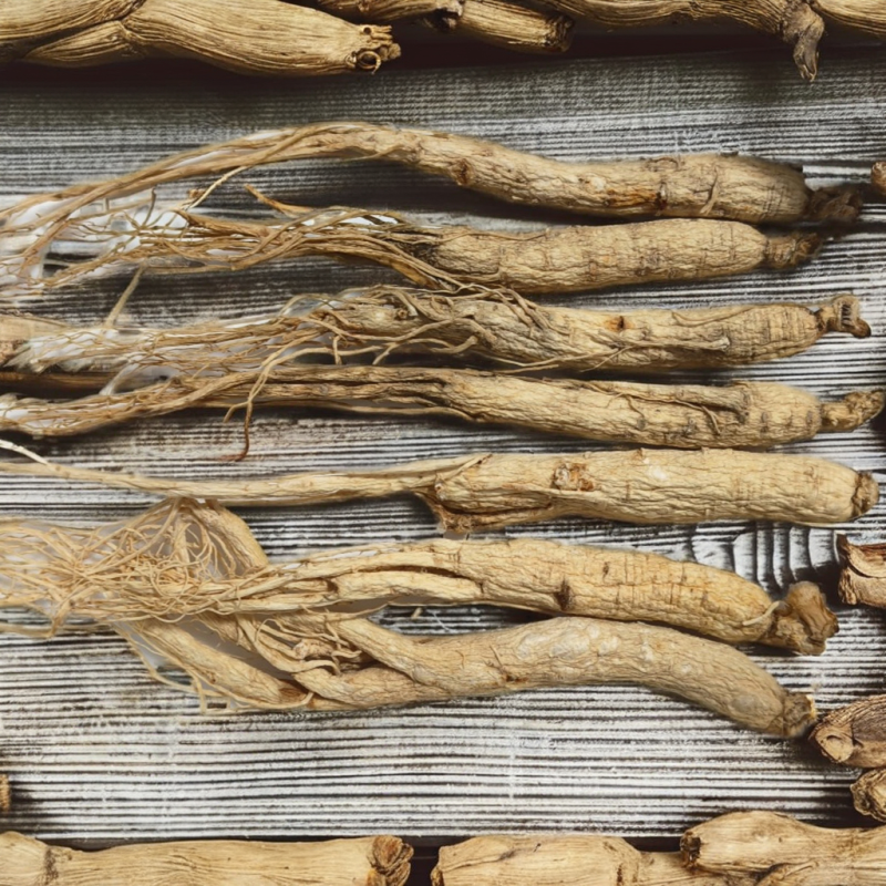White Ginseng Root Factory - Dried Bitter Taste