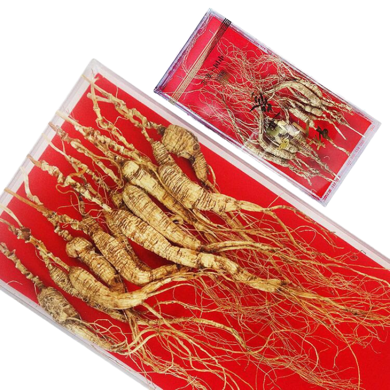 Panax Ginseng Root Manufacturer - White Dried 24 Months