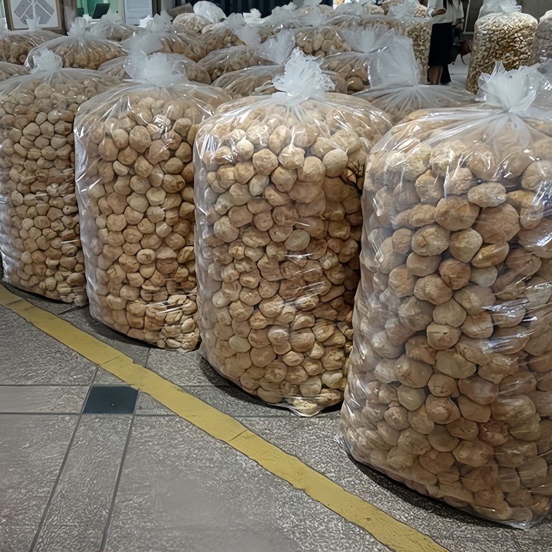 Lion's Mane Mushrooms Manufacturer - Wild Dried Health