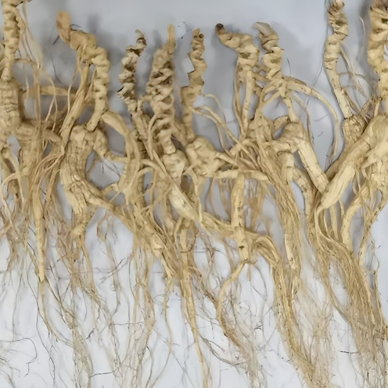 Food Grade Ginseng Manufacturer - Jilin Origin