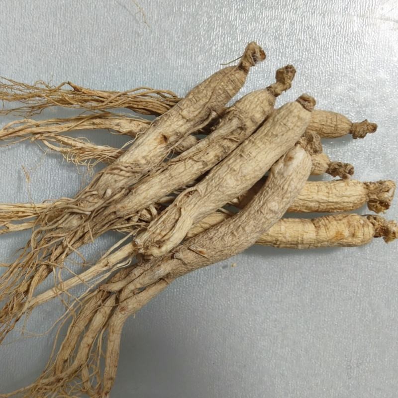 Wild Ginseng Manufacturer - High Quality Dry Sealed