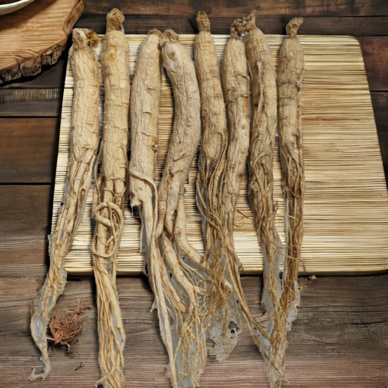 Panax Ginseng Root Supplier - Agriculture Product