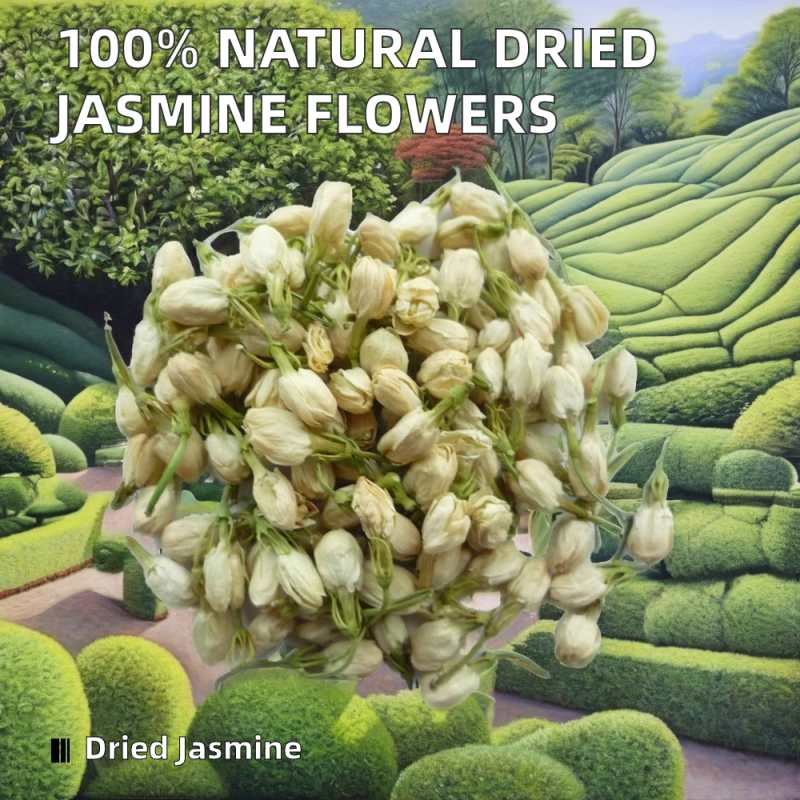 White Ginseng Root Factory - Organic Fresh Raw