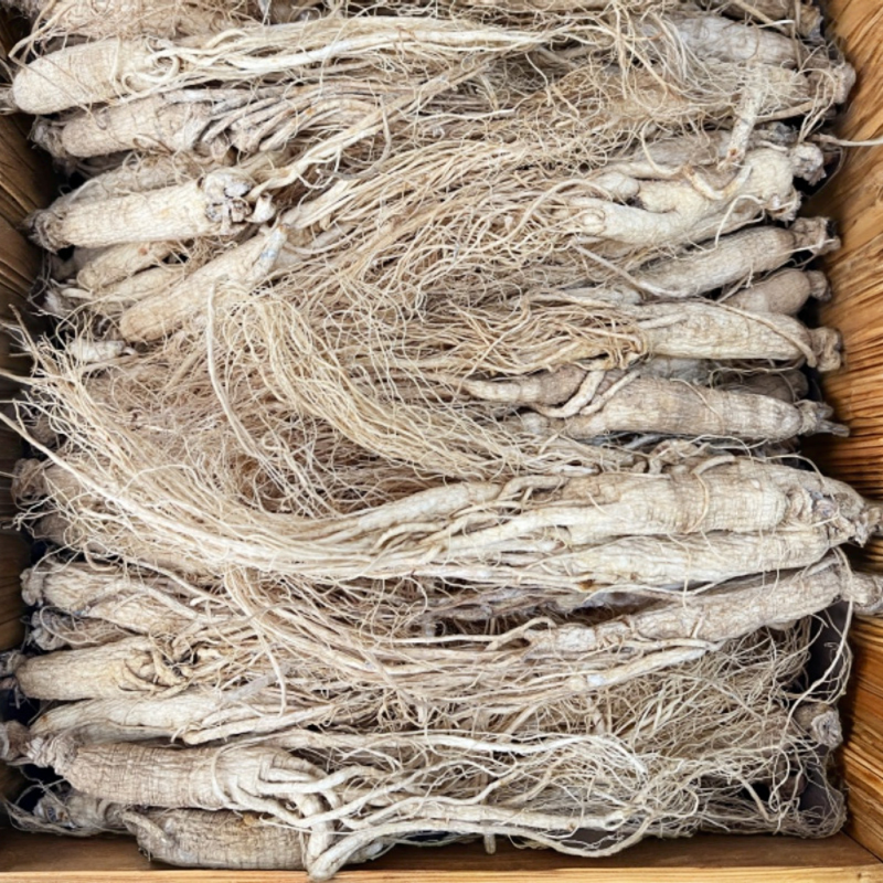 Fruit Teas Factory - Wholesale Healthy Refreshing