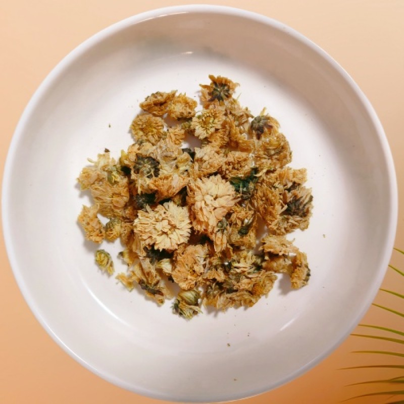 Panax Ginseng Factory - Competitive Price Bulk