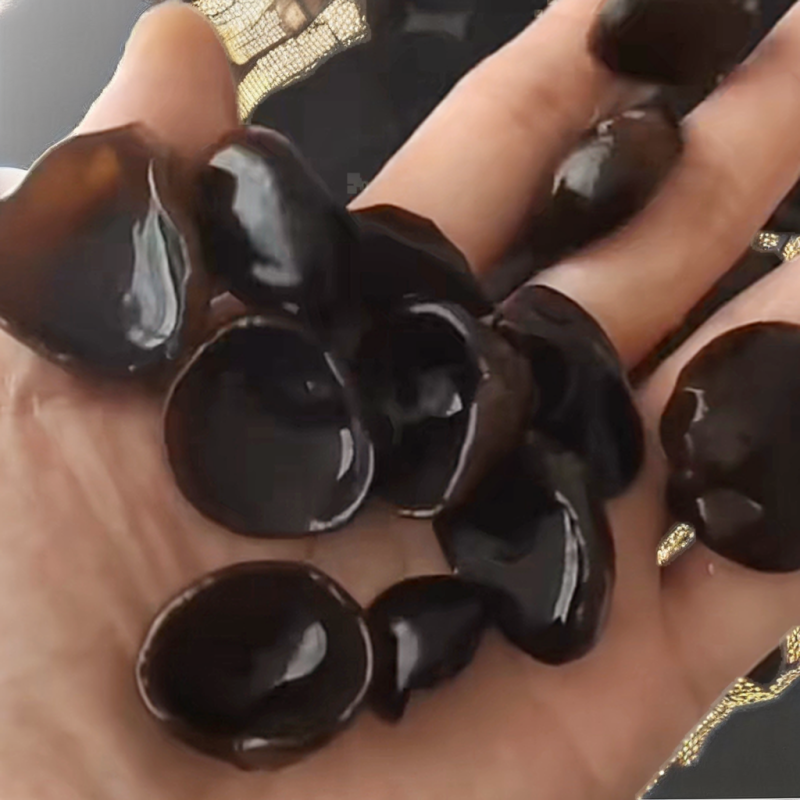 Dried Black Fungus Factory - Cultivated Raw Processing
