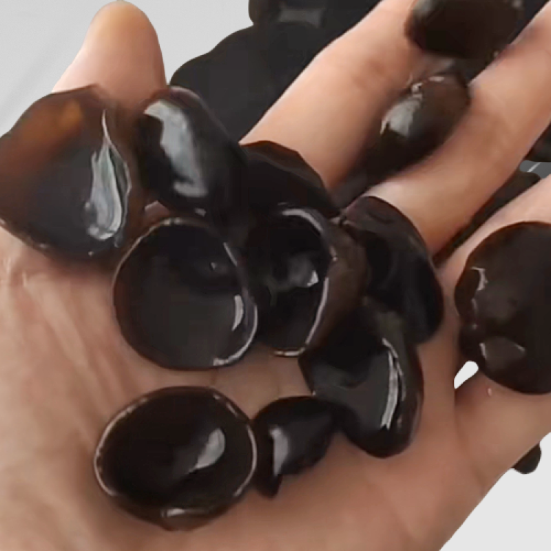 Black Fungus Mushroom Supplier - Whole Dried Bag Pack