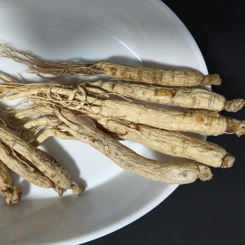 Panax Ginseng Root Supplier - 6 Years Old