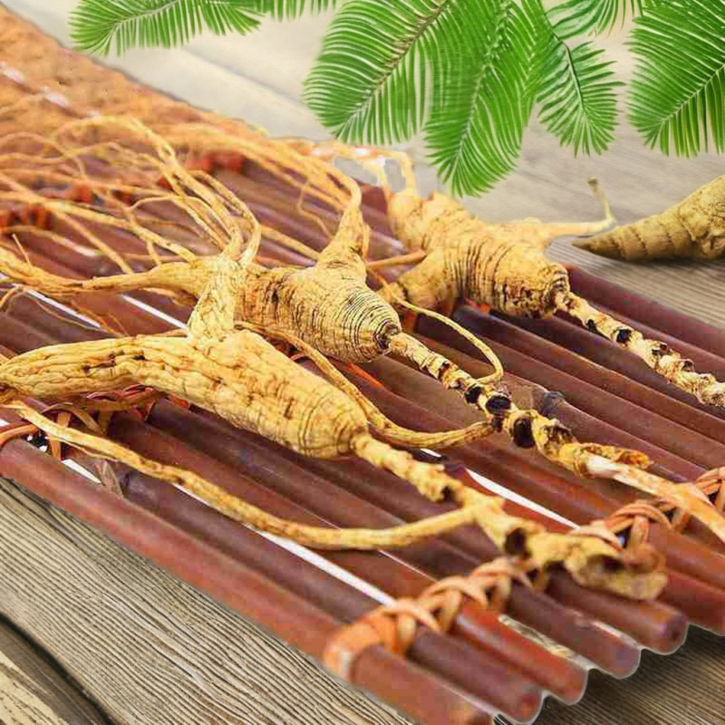 White Ginseng Root Manufacturer - Professional Supply