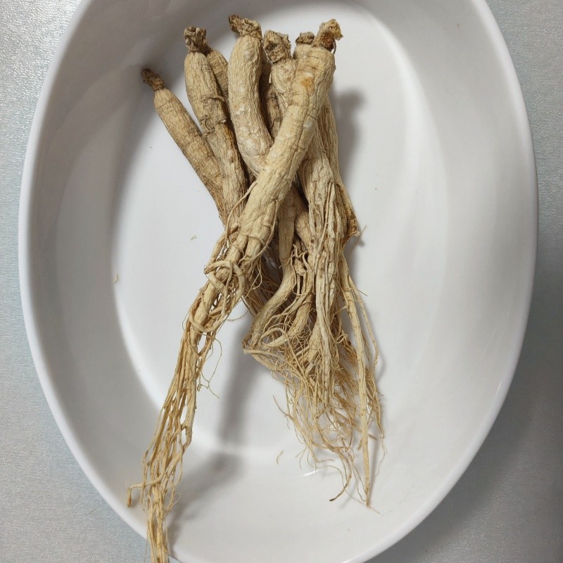 Ginseng Health Tea Manufacturer - Loose Leaf