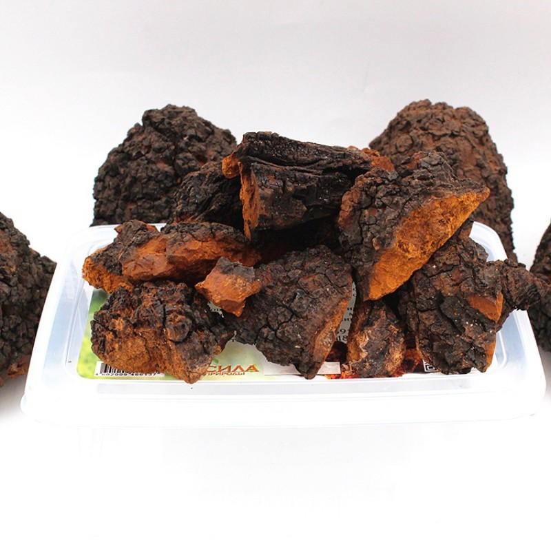 Chaga Mushroom Factory - Natural Block Cut Bulk