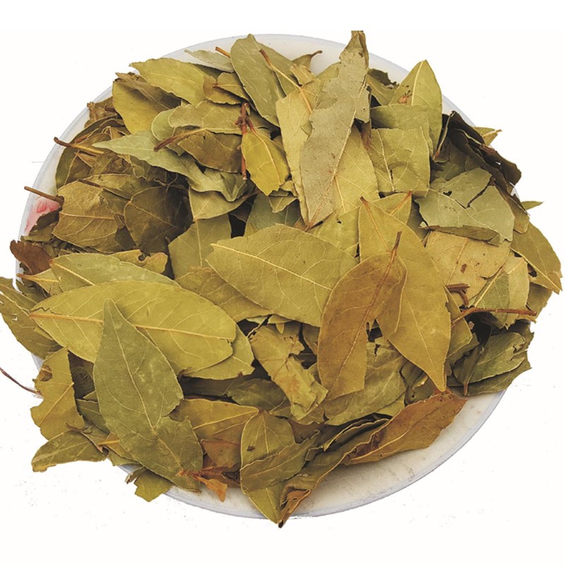 Bay Leaves Supplier - Dried Natural Laurel Leaf Wholesale