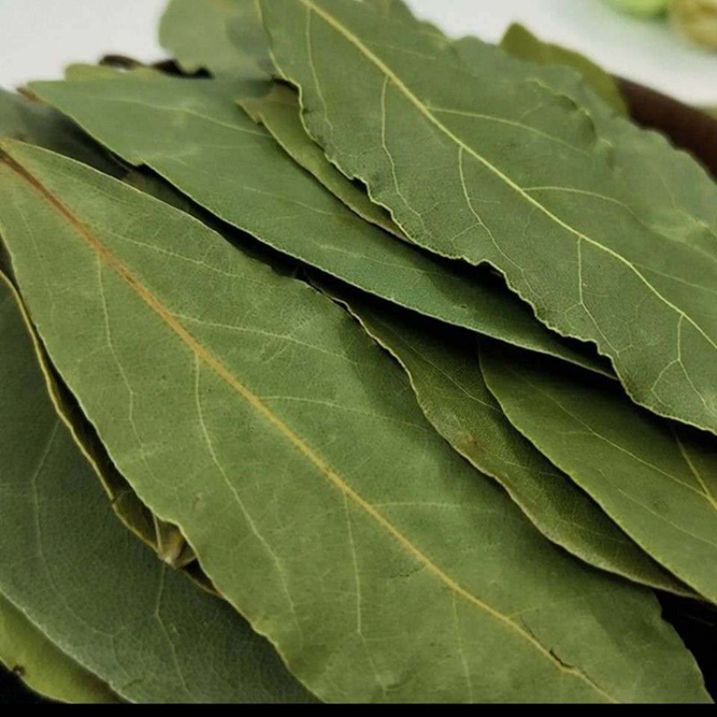 Bay Leaves Supplier - Dried Natural Laurel Leaf Wholesale
