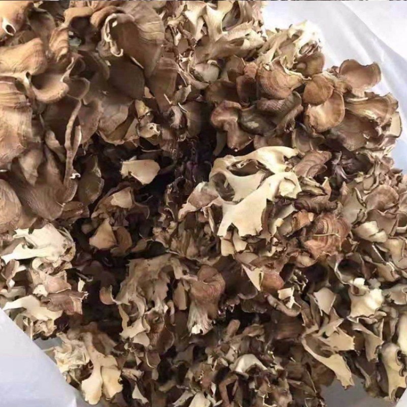 Mushroom Supplier - Dancing Variety Dried Natural