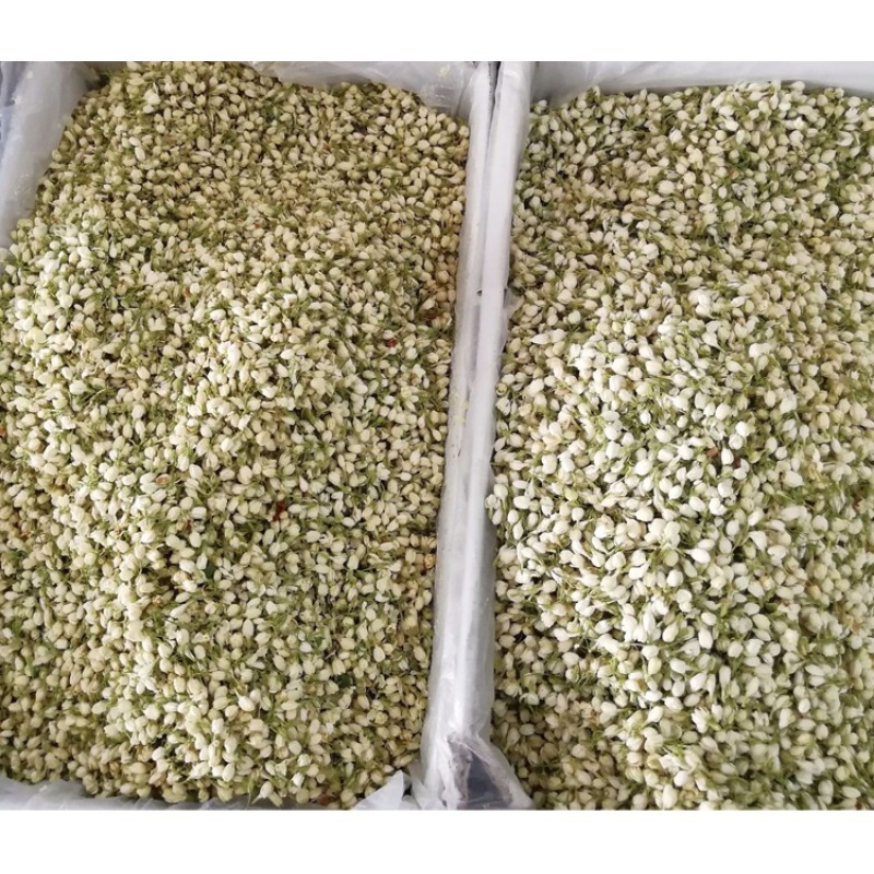 Snow Chrysanthemum Tea Manufacturer - Kunlun Mountain