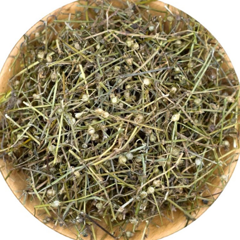 Hedyotis Herb Factory - Bai Hua She Cao Dried Bulk