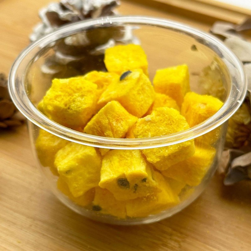 Lemon Slice Supplier - Dehydrated Edible Detox