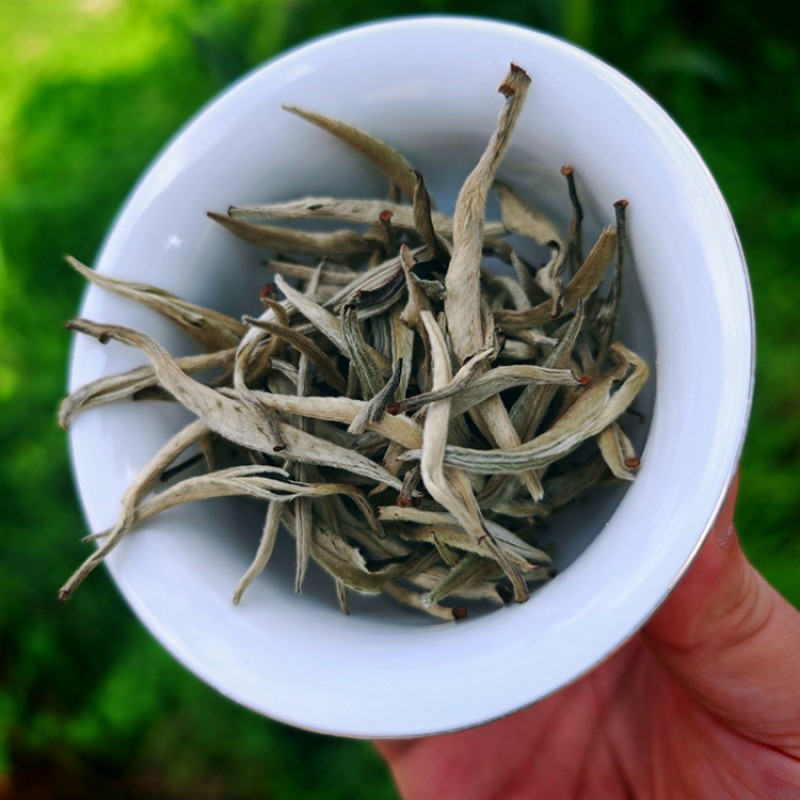 White Tea Manufacturer - Fuding Shoumei Loose