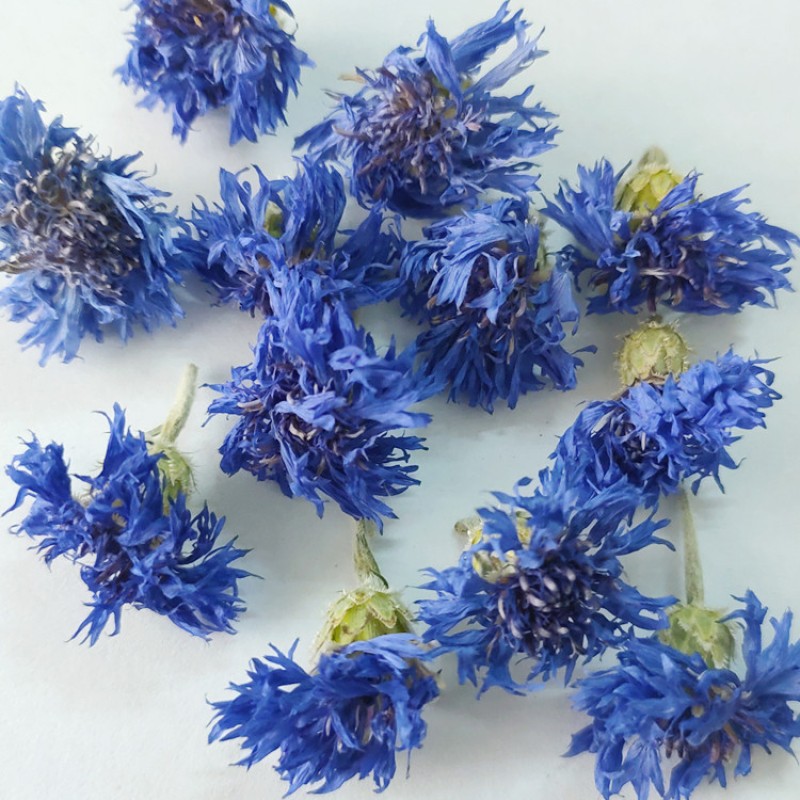 Ganoderma Powder Factory - Spore Broken Pure