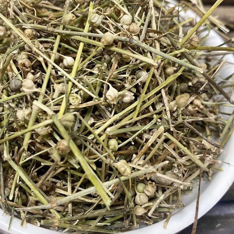 Hedyotis Herb Factory - Bai Hua She Cao Dried Bulk