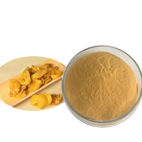 Chicken Gizzard Powder Supplier - Endothelium Corneum Extract