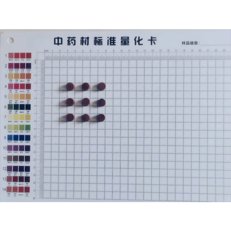 Toad Venom Powder Factory - Medical Grade Gland Extract