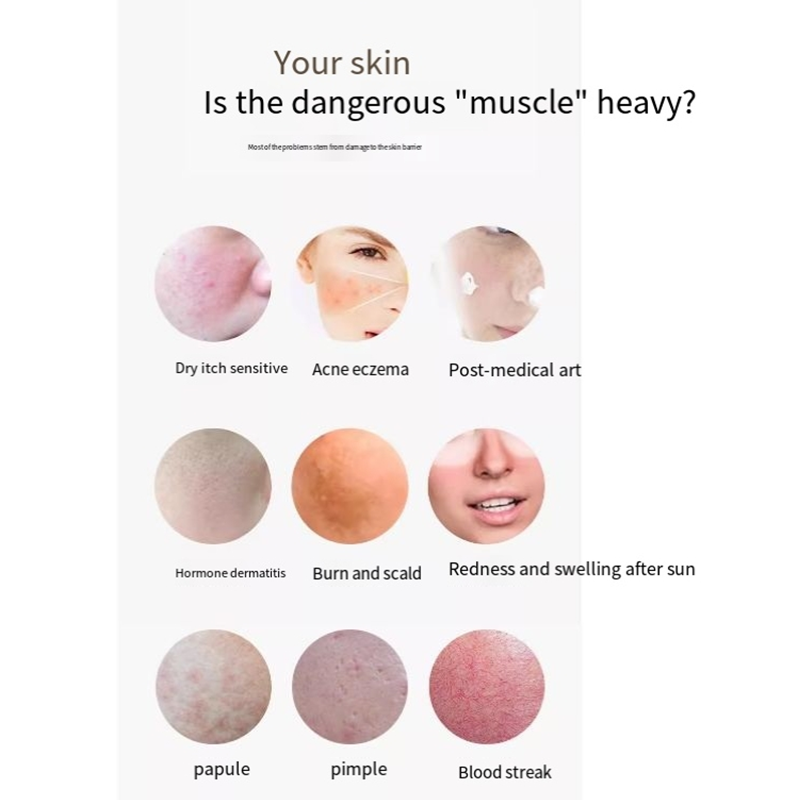 Medical Membrane Factory - Fiber Polypeptide Care Patch