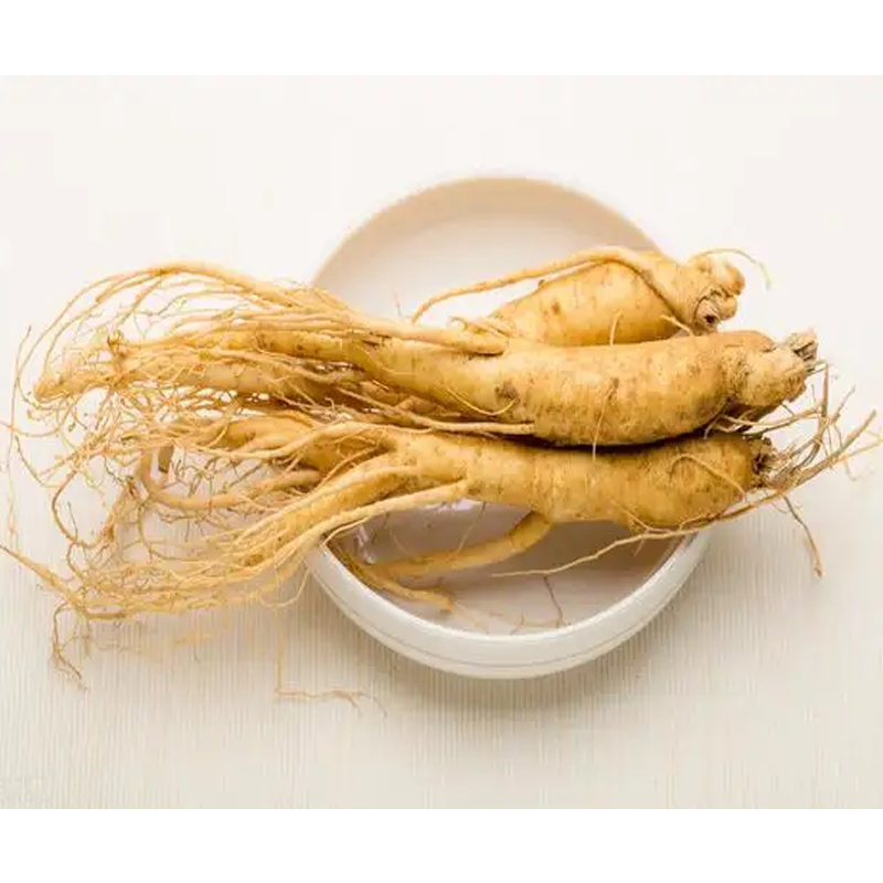Ginseng Powder Manufacturer - Wild Root Extract Powder