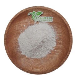 Saw Palmetto Extract Manufacturer - Herbal Powder 100%