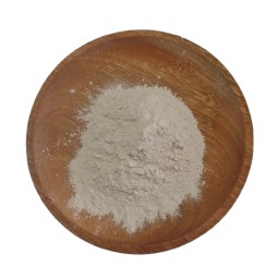 Bacillus Subtilis Factory - Microbial Feed Additive